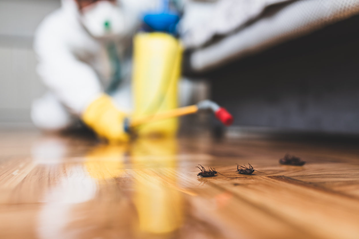 orem pest control
