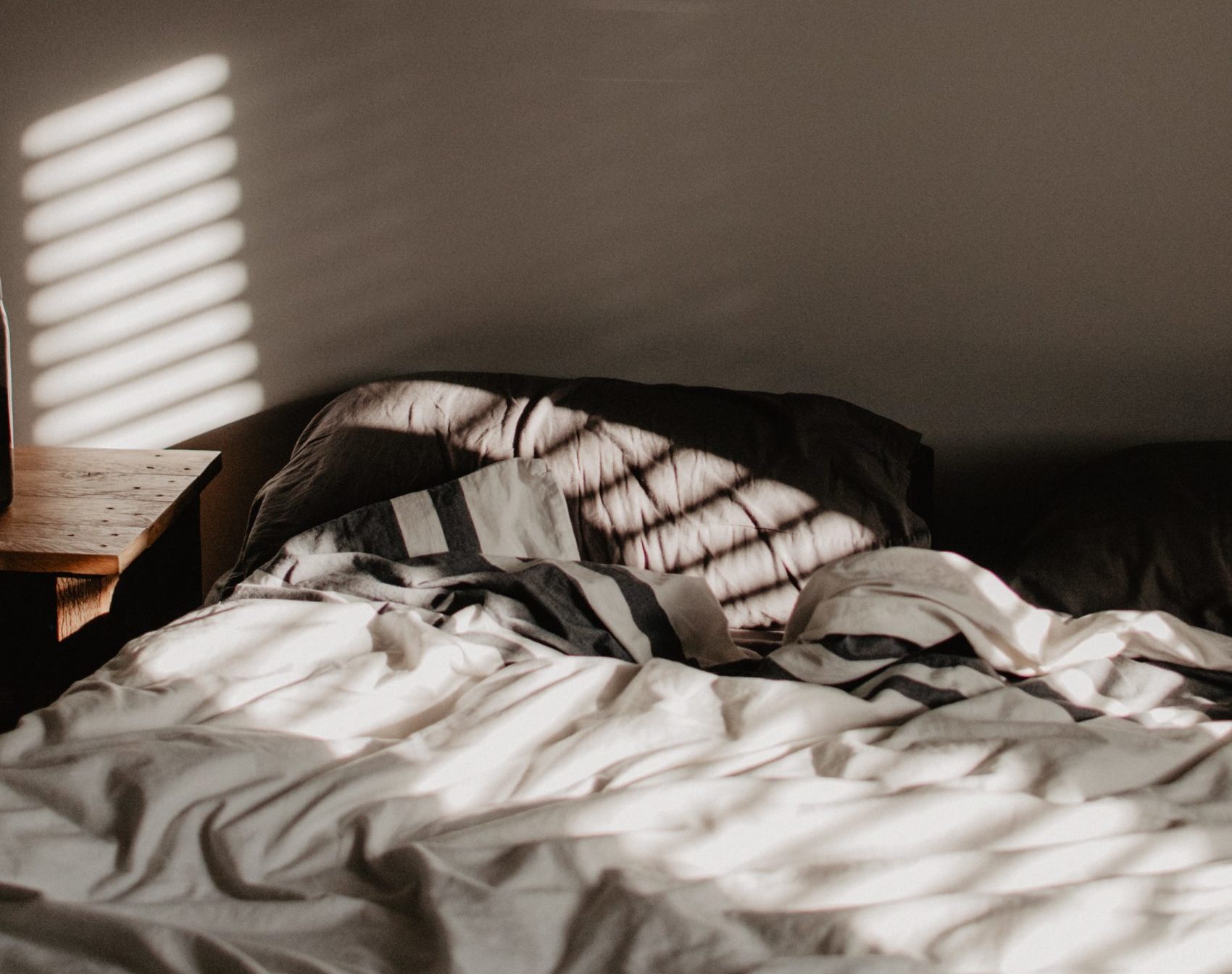 Bed Bugs