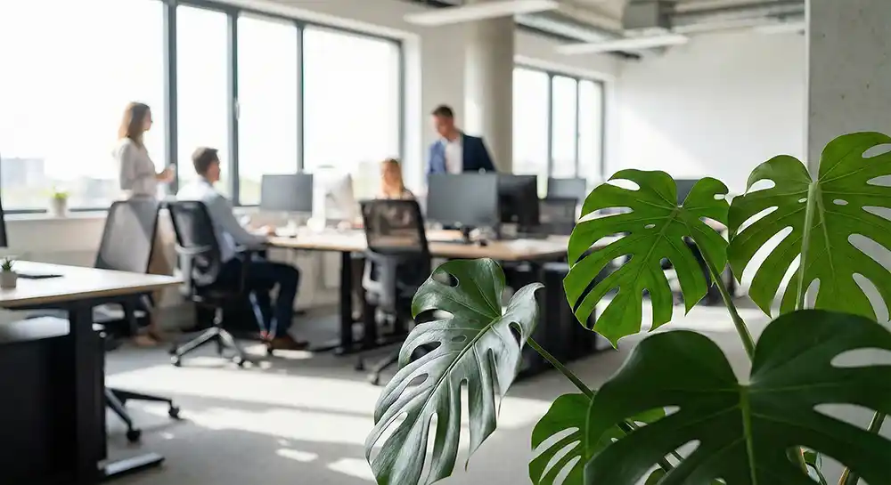 Green monstera leaves in focus in front of a modern office where a blurred team works at desks by large windows.