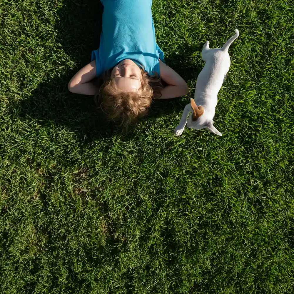 Overhead view of a person lying back on green grass with hands behind their head, beside a small white and tan dog.