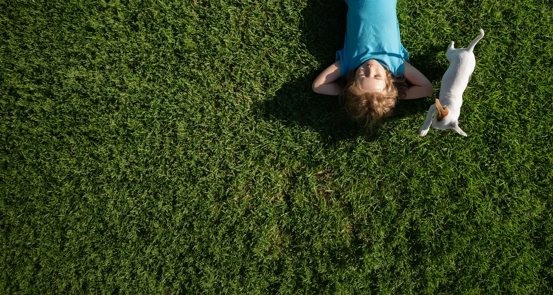 Overhead view of a person lying back on green grass with hands behind their head, beside a small white and tan dog.