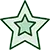 Green star icon